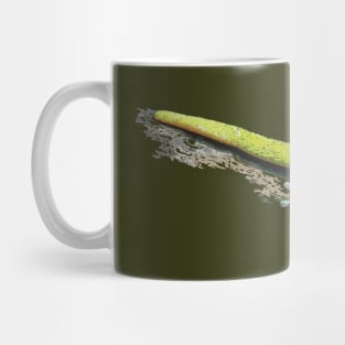 Gold Dust Day Gecko Mug